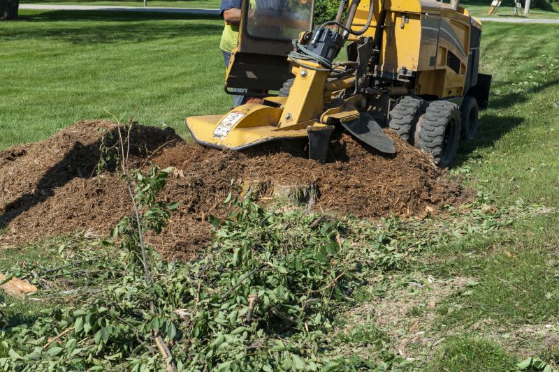 Commercial Stump Grinding in Prince Georges County, MD