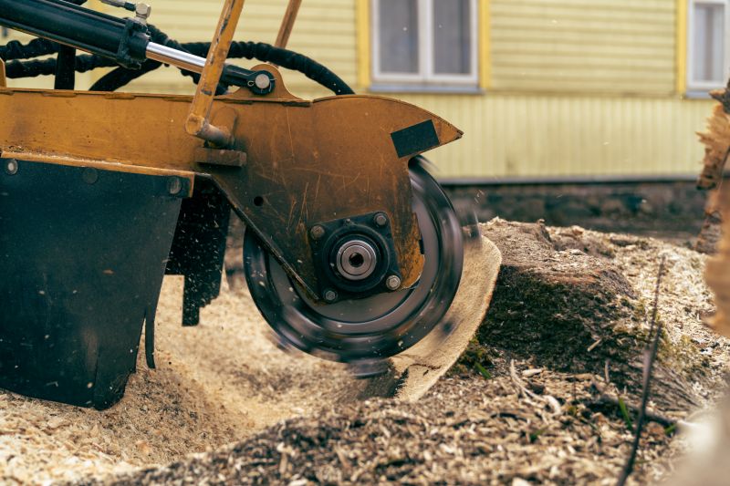 Tree Root Grinding