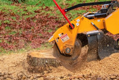 Tree Stump Grinding