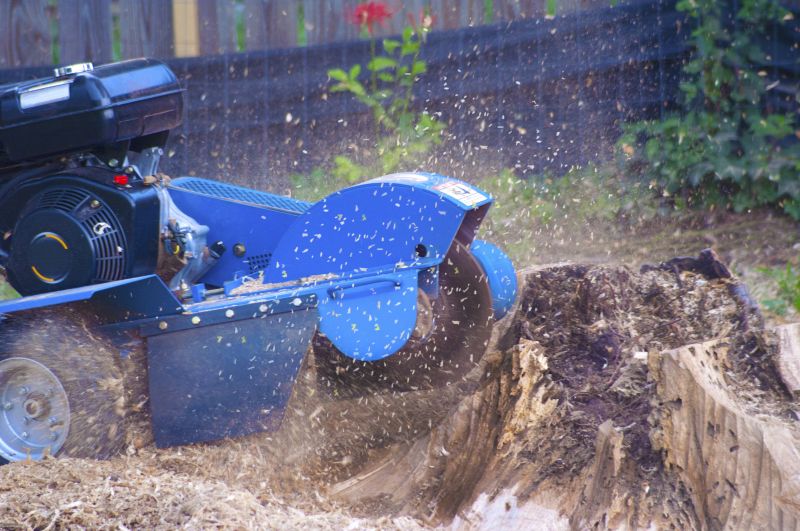 Stump Grinding Equipment Setup