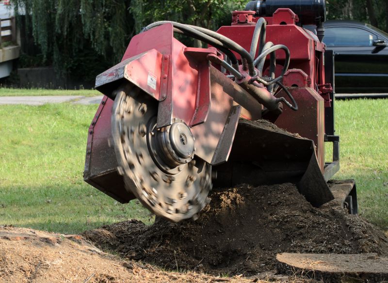 Tree Stump Grinding Equipment