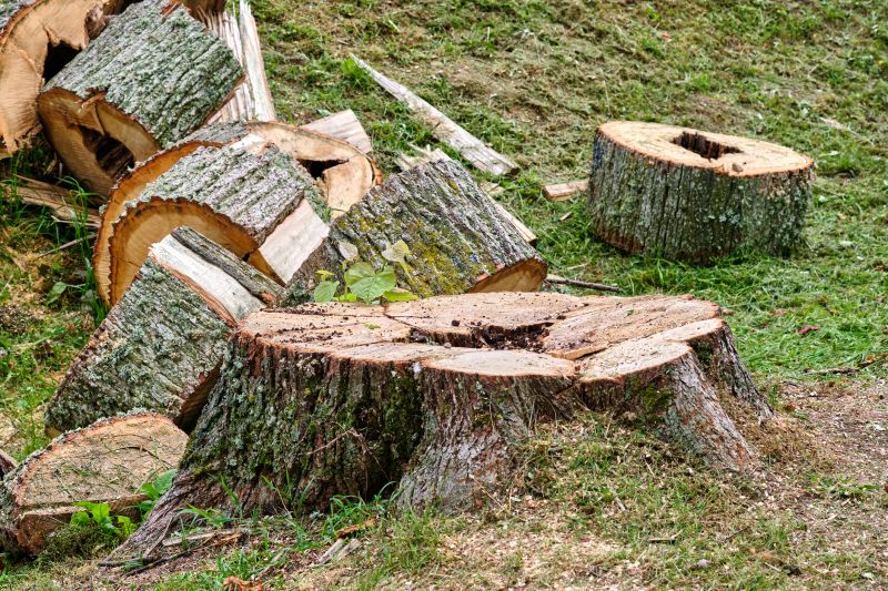 Tree Stump Removal